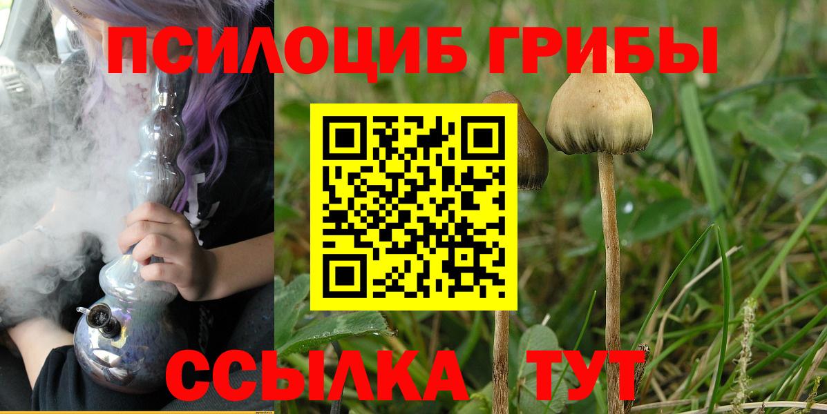 Псилоцибиновые грибы GOLDEN TEACHER Горно-Алтайск