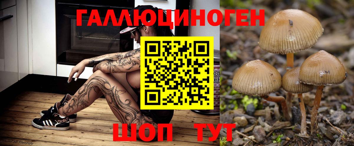 Псилоцибиновые грибы Cubensis  где купить наркотик  Галлюциногенные грибы Psilocybe  Горно-Алтайск  Вход с VPN 